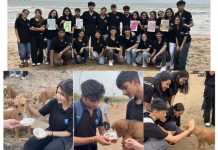 When Kindness Found Its Way to Juhu Beach: Vaayu Spreads Light Beyond the Fest with a Heartwarming Food Drive Members of the Vaayu Fest Team from NMIMS ASMSOC feeding stray dogs during their Diwali food drive at Juhu Beach.