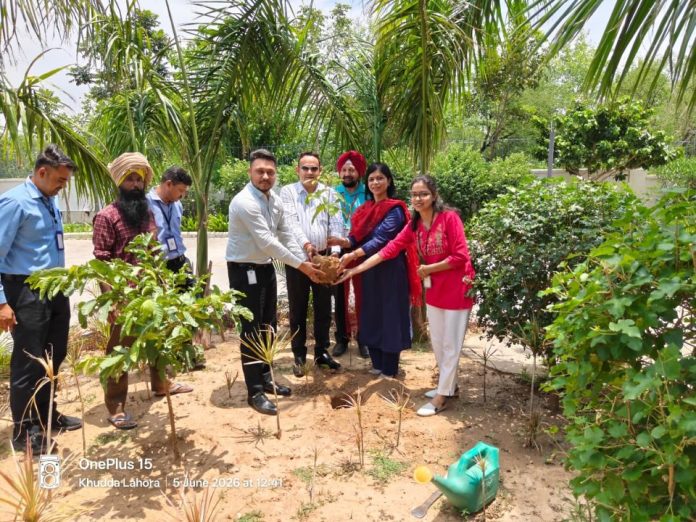 NMIMS Chandigarh team participates in a tree plantation drive on World Environment Day 2026, promoting climate action and sustainability